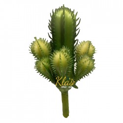 kaktus-7-kafali.jpg