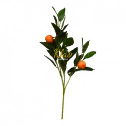 yapay-mandalina.jpg