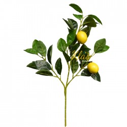 yapay-limon.jpg