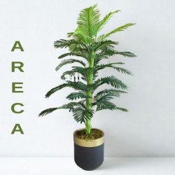 tek-govde-areca.jpeg