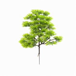 bonsai-dali-yesil.png