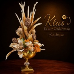 eva-tanzim-7.jpeg
